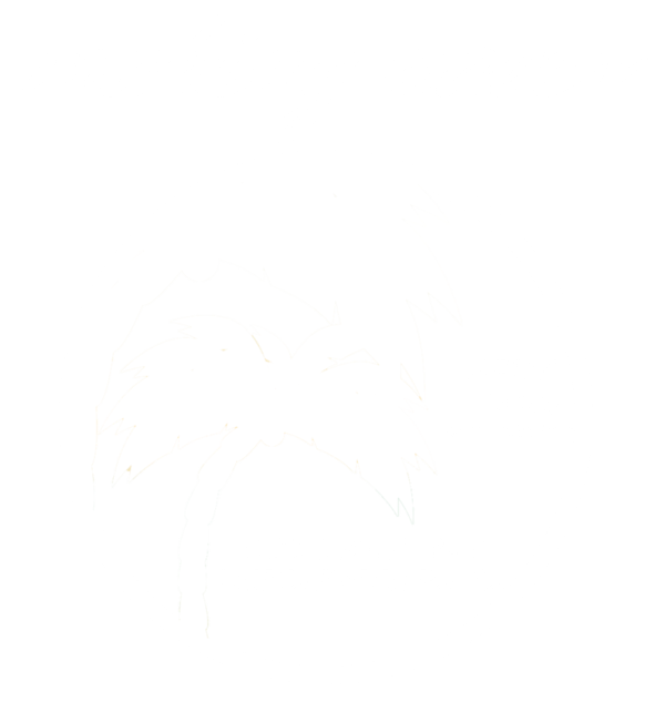 2019 APNA Conference Logo